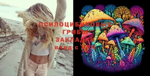 первитин Белокуриха