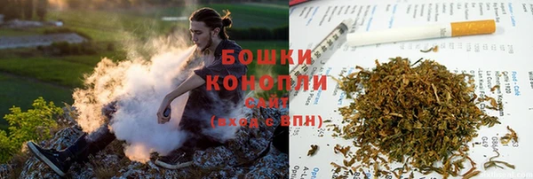 первитин Белокуриха